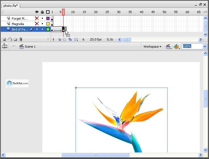 Creating a Flash Photo Slideshow Tutorial