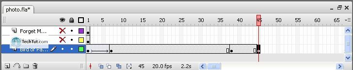 Creating a Flash Photo Slideshow Tutorial