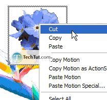 Creating a Flash Photo Slideshow Tutorial