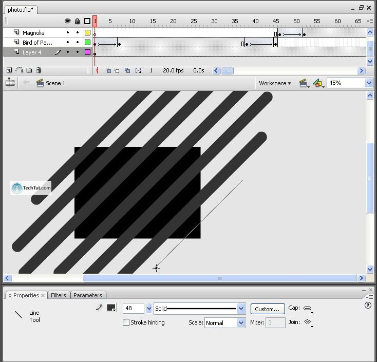 Creating a Flash Photo Slideshow Tutorial