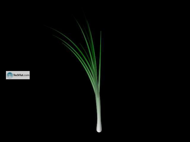 Create realistic looking Onion
