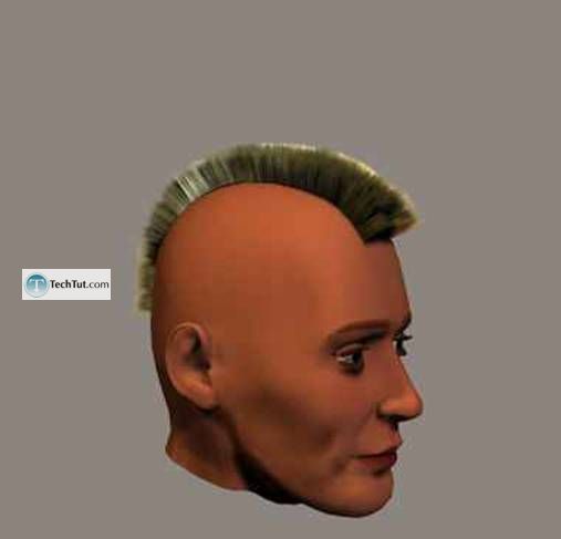 Creating hair in Poser